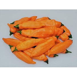 Aji Mango Pepper 10+ Seeds