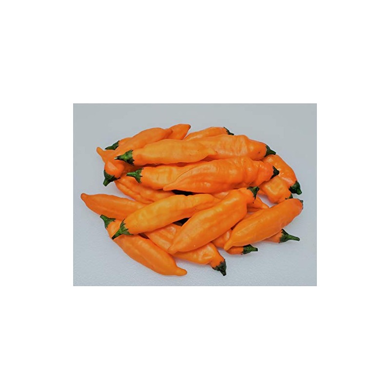 Aji Mango Pepper 10+ Seeds