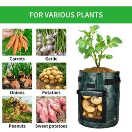 iPower Potato Grow Bags 10 Gallon 3 Pack with Flap, Sturdy Handles and Harvest Windows, Thick PE Fabric Planter Pots for Potato, Tomato, Carrot, Onion, Carrot, Vegetable and Fruits, Green