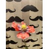 Izmir Poppy TRUE Izmir Asian OB Poppy Seed (Papaver S.)