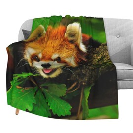 Dujiea Manta de franela con diseño de Panda Roja Climbs A Tree, 100 x 122 cm, súper suave y ligera para sofá, silla, acogedora manta de cama para niños y adultos
