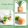 Joyibay Plant Fridge Magnets Mini Succulent Magnets Artificial Plants Refrigerator