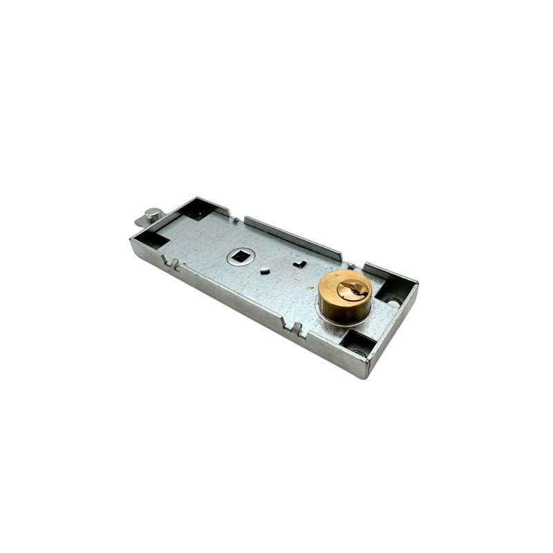 Pair of Locks B551.0810.0000 for Tilting/Garage Round Cylinder