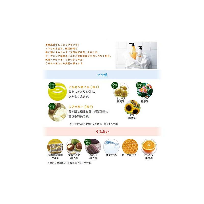 LISILICITCH SERIES LISILICITCH Shampoo 10.1 fl oz (300