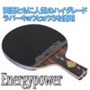 EnergyPower DHS 5002C Table Tennis Racket, Shake Hand, Double-Sided Leopard,