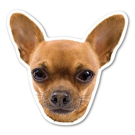 Chihuahua Magnet by Magnet America is 4 7/8" x 4 1/2" Made for Vehicles and Refrigerators