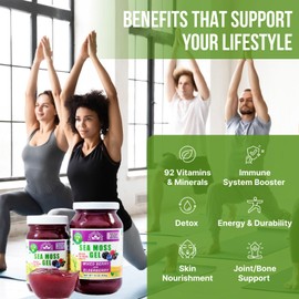 EverSmith Organics EverSmith Organics - Wildcrafted Irish Sea Moss Gel | Made in USA | Rich in Vitamins & Minerals | Sea Moss Gel Raw | Nutritional Supplement | Mixed Berry (16 oz)