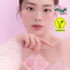 DASIQUE Blending Mood Cheek - [Original Only] 08 Blueberry Sorbet