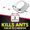 Raid Ant Killer Baits, Child Resistant Bug Killer for Indoor