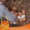 NHPY 1 Item Basket for Gifts, Egg Carton, Egg Collection