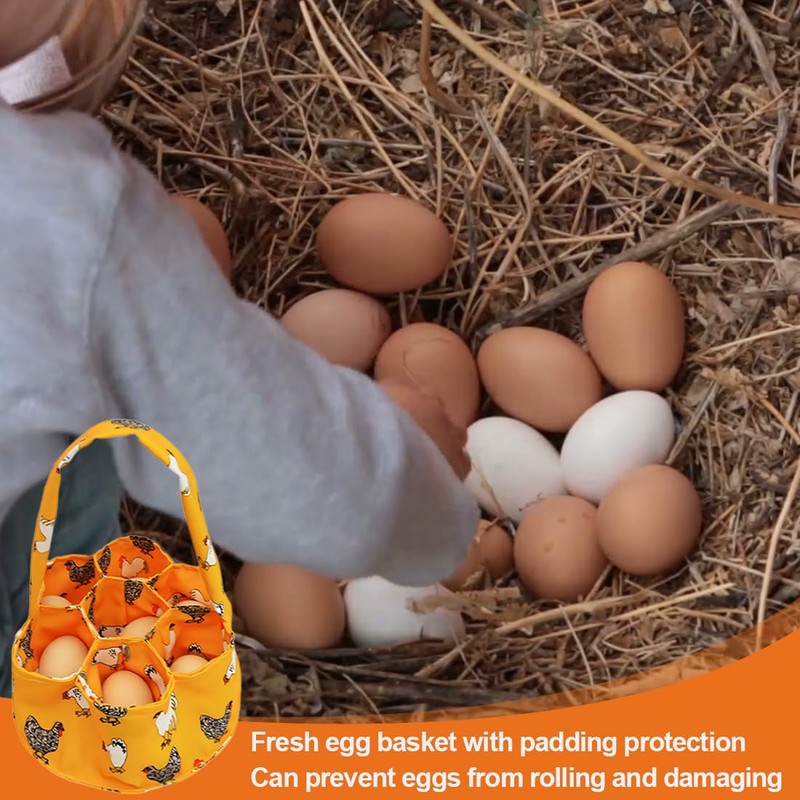 NHPY 1 Item Basket for Gifts, Egg Carton, Egg Collection