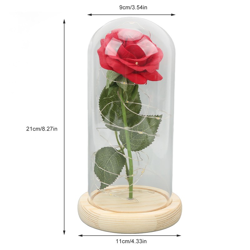 Rose in Glass Dome Lucky Beautiful Symbolism Romantic Enchanted Rose