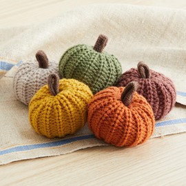 Mini knit pumpkins set of 5, hygge decor, cozy gifts for women, autumn bowl fillers fall farmhouse tiered tray decor, decorative pumpkins for fall (Mini Knit Autumn 5)
