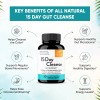 Sandhu's Detox Colon Limpieza Intestinal 15 Días 30 Cápsulas