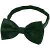 DonDon classy bow tie pre tied and adjustable Green