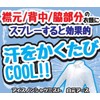Ice Non Shirt Mist, Mint Scent, 3.4 fl oz (100