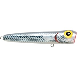 Storm Saltwater Chug Bug 11 (Mullet, Size- 4.375)