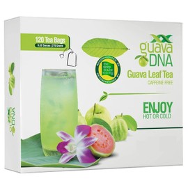 MATCHA DNA Guava Leaf Tea - 120 Individually Wrapped Teabags
