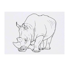 Azeeda 'Nashorn' Temporäres Tattoo - Hautfreundlicher & Ungiftiger Abziehbild · Wasserfest (TO00050510)