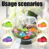 70 PCS Mini Turtles, Tiny Turtle, Tiny Turtles with Fruit