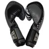 Ring to Cage Gym Training Stand-Up Boxing Gloves - USA.