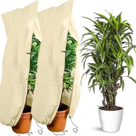 Fabchik Plant Cover for Winter (120 x 80 cm)