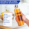 Duocesica 3 Packs Glass Water Bottles with Lid Clear Juicing