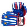 YOKKAO Muay Thai Redgammon Boxing Gloves - Blue - 18oz