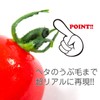 Food Sample Magnet, Mini Tomatoes (Red), 239 OM
