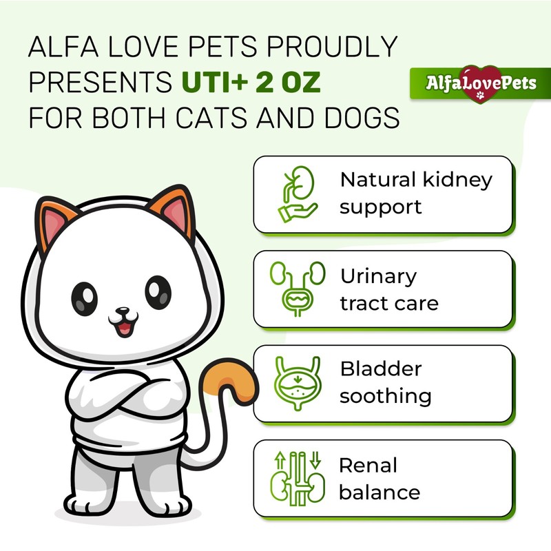 AlfaLovePets Cat & Dog UTI Treatment | Kidney Support for
