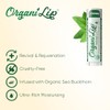 Bálsamo labial orgánico, sabor a menta verde, humectante labial ultrahidratante
