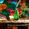 Frankincense Essential Oil - 100% Pure Frankincense Oil for Skin