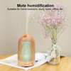 200ml Mini Hollow Humidifier with Night Light USB Powered Aroma