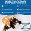 Folic Acid for Dogs - Dog Prenatal Vitamins with B12,