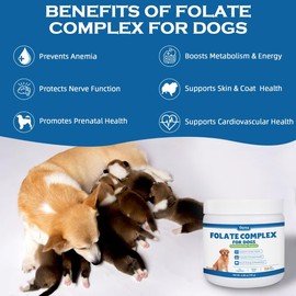 Folic Acid for Dogs - Dog Prenatal Vitamins with B12, Zinc, Biotin & Iron - Supports DNA Synthesis, Cardiovascular & Fetal Development - for Pregnant Dogs, Puppies -150 Soft Chews
