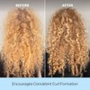 Curl Charisma Rice Amino Plus Avocado Leave-In Defining Creme by
