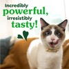 Greenies Cat Treats, Feline Veterinarian-Recommended Adult Natural Dental Cat Treats,