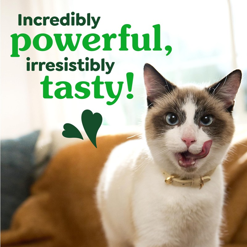 Greenies Cat Treats, Feline Veterinarian-Recommended Adult Natural Dental Cat Treats,