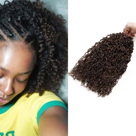 Mini Passion Twist Crochet Hair 14 Inch Yanky Twist Crochet Braids Fluffy Short Kinky Twist Hair Extensions 5 Packs, 15 Strands/Pack