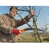 Edward Tools Heavy Duty Pruning Saw with Sheath - 12”