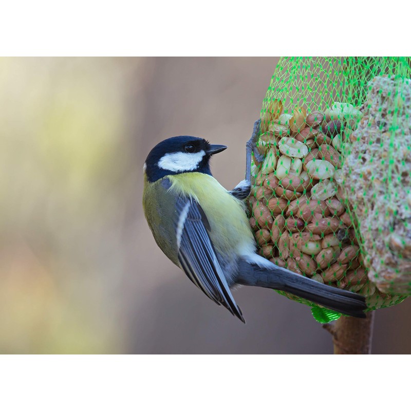 Valley Farms Peanut Kernels (4 LBS)