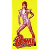 C&D Visionary David Bowie Pose Sticker