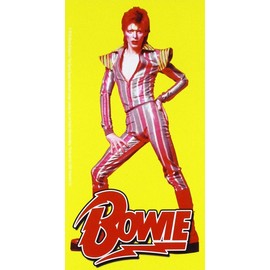 C&D Visionary David Bowie Pose Sticker