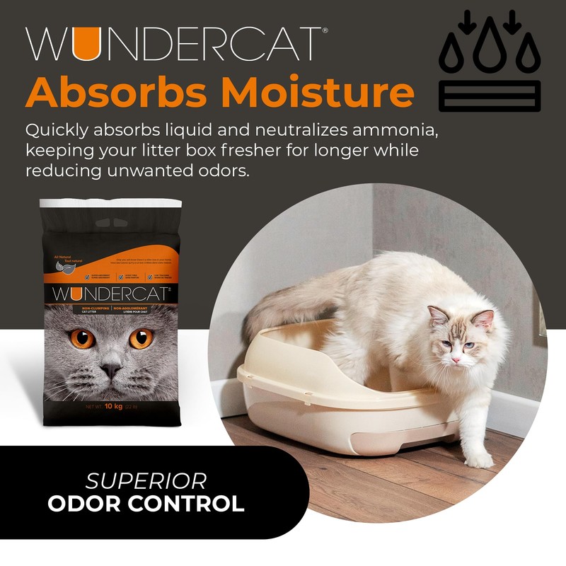 Progressive Planet Wundercat Non-Clumping Cat Litter, 40lbs - Lightweight &