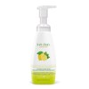 Live Clean Foaming Hand Wash, Lemon Mint, 400 mL