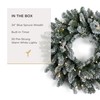 Papyrus 24" Pre-Lit Frosted Blue Spruce Artificial Wreath, Warm White