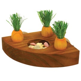 Rosewood 19260 Boredom Breaker Carrot Toy 'n' Treat Holder for Small Animals, transparent
