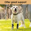 Avont Dog Front Leg Brace, Wrist Compression Wrap Sleeve, Protects