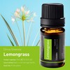 2 Pack Lemongrass and Orange Essential Oil, for Colobles Waterless