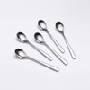 Wenkoni 6.1"Small Dessert Spoons, Yogurt,Coffee,Espresso,Ice Cream Spoons SUS 304 Stainless
